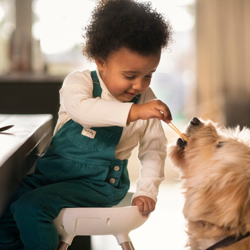 Maxi-Cosi Moa 8-in-1 High Chair