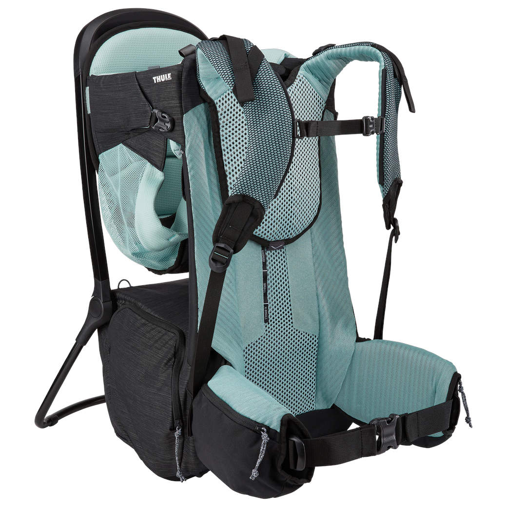 Thule Sapling Child Carrier